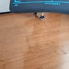 Anivera Core trainer Siorana CoreFlex Ab Roller + Gratis Flex Mat
